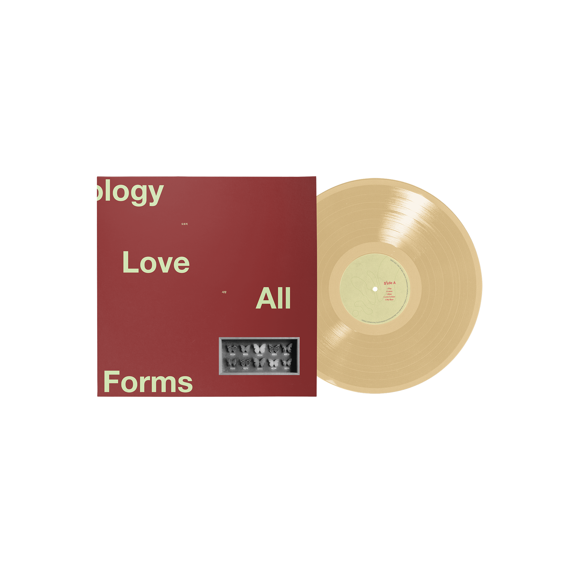 12BH - An Anthology of Love In All Its Forms